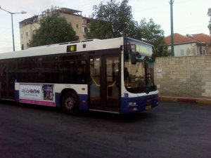 258025_10150642219270293_783810292_18977386_6095818_o