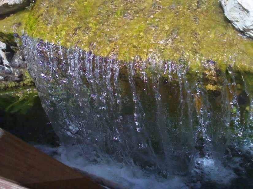 535706_10151472387200293_783810292_23390741_1987601735_n