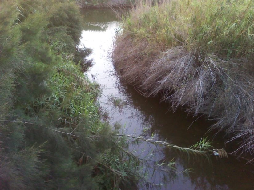 165832_10151720807140293_783810292_23941721_2036572344_n