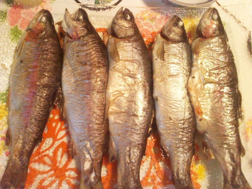 45282_10151721557715293_783810292_23944226_1338739467_n