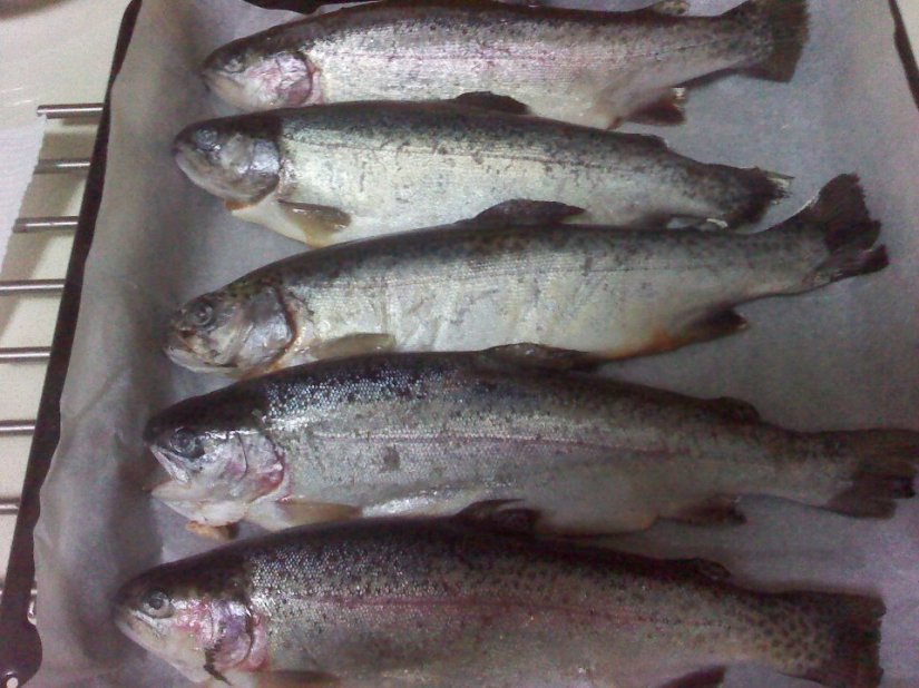 536750_10151720920980293_783810292_23941957_1998927348_n