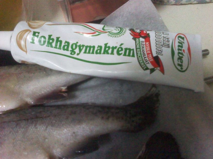 542433_10151720952595293_783810292_23942023_1799713369_n