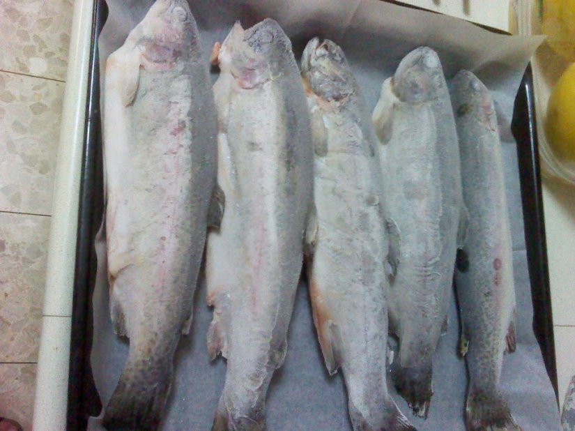 559525_10151720861225293_783810292_23941835_1202174939_n