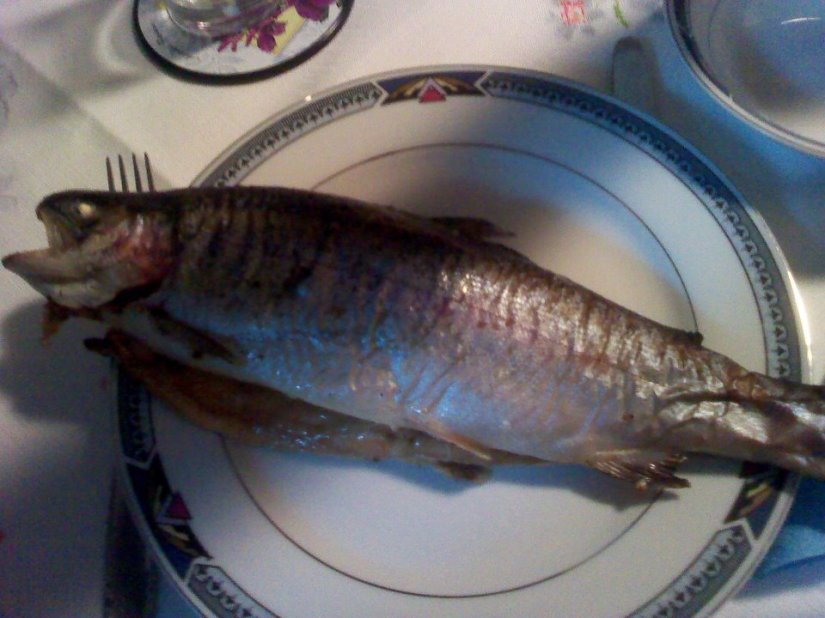 576540_10151721567640293_783810292_23944244_1027183076_n