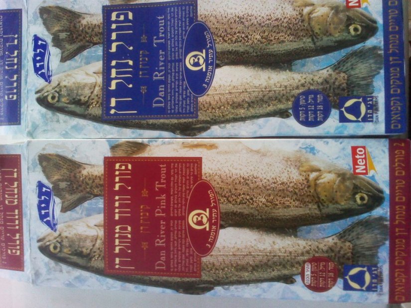 576972_10151720817635293_783810292_23941744_223352947_n