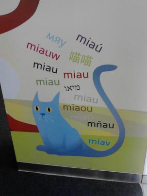 549992_10152461700965293_964125516_n