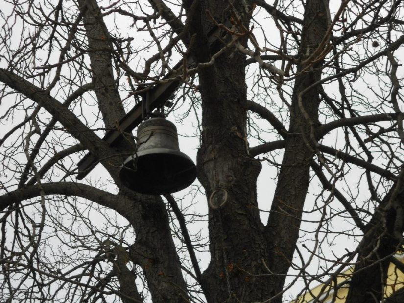 483863_10152614800535293_1454286775_n