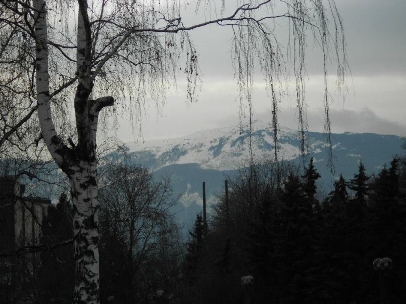 601517_10152614802325293_494728459_n