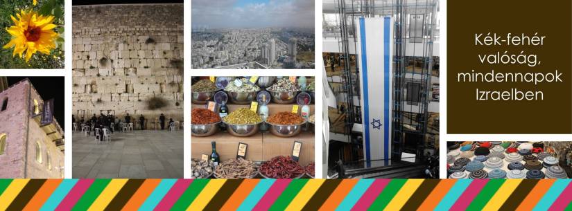 1403569_405211086279240_971556719_o